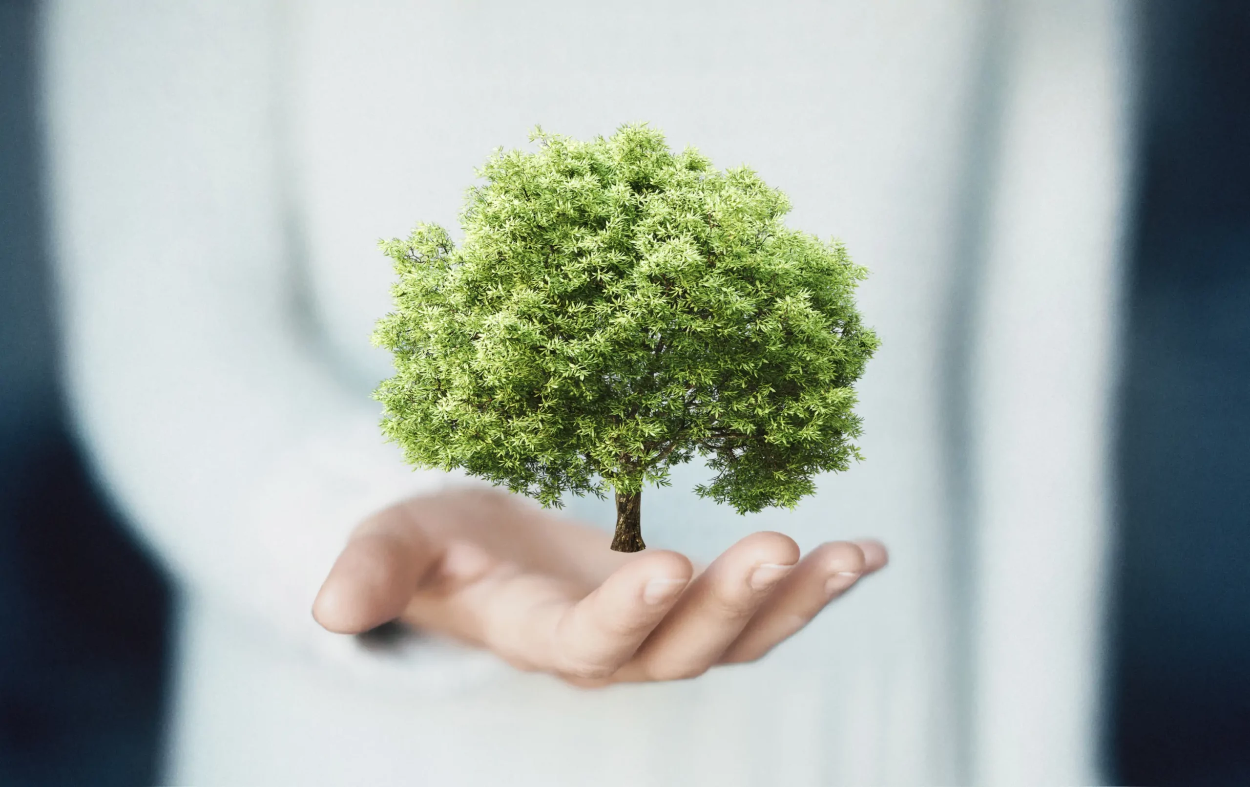 RSE Ware-id, Concepteur de Solutions Logistiques 4.0